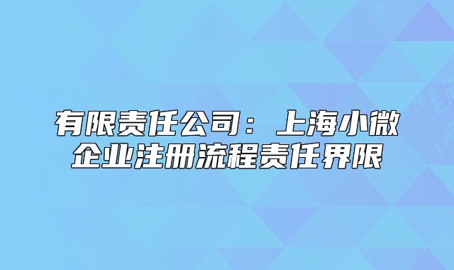 有限责任公司:上海小微企业注册流程责任界限