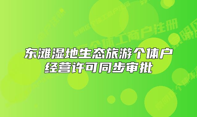 东滩湿地生态旅游个体户经营许可同步审批