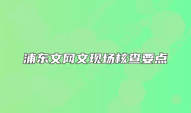 浦东文网文现场核查要点