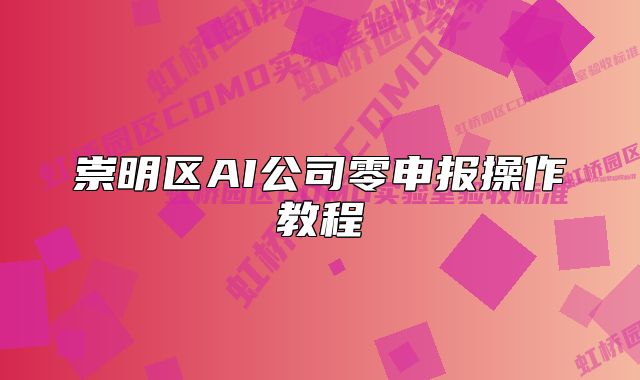 崇明区AI公司零申报操作教程