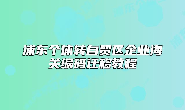 浦东个体转自贸区企业海关编码迁移教程