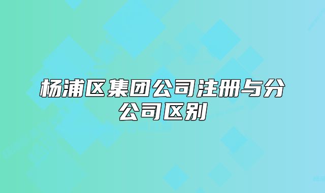 杨浦区集团公司注册与分公司区别