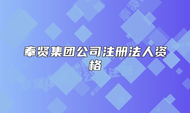 奉贤集团公司注册法人资格