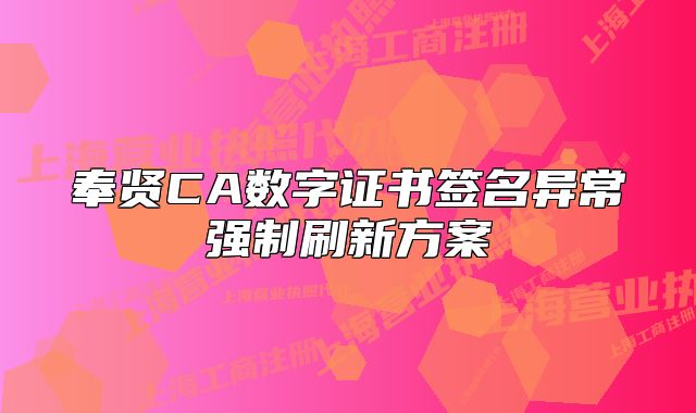 奉贤CA数字证书签名异常强制刷新方案