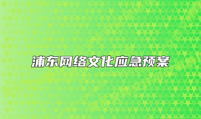 浦东网络文化应急预案