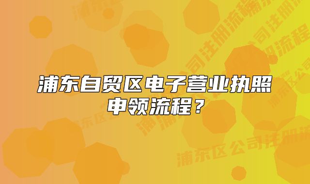 浦东自贸区电子营业执照申领流程？