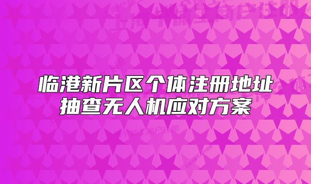 临港新片区个体注册地址抽查无人机应对方案