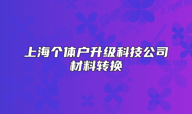 上海个体户升级科技公司材料转换
