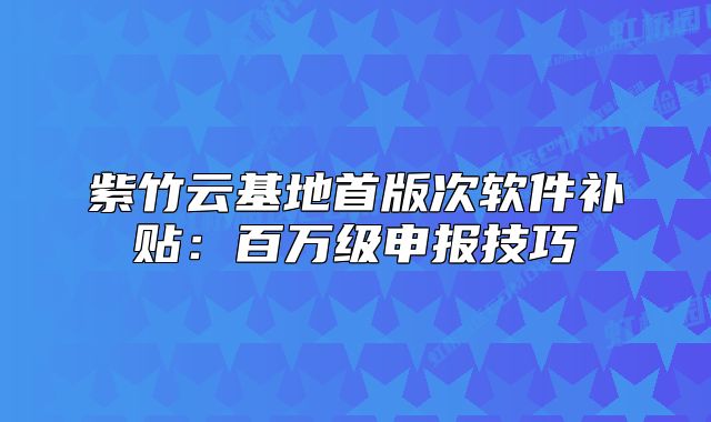 紫竹云基地首版次软件补贴：百万级申报技巧
