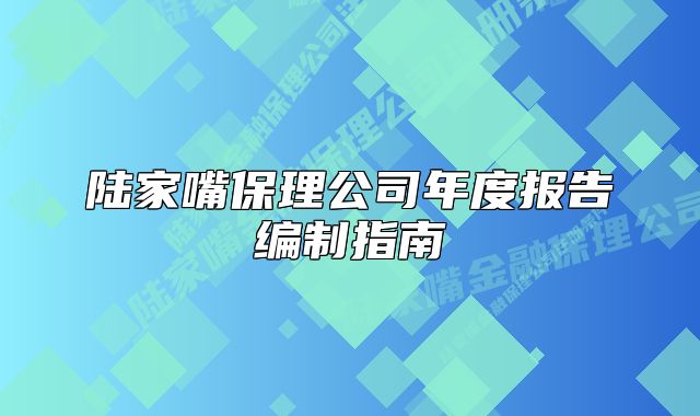 陆家嘴保理公司年度报告编制指南