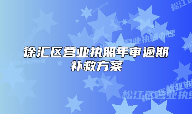 徐汇区营业执照年审逾期补救方案