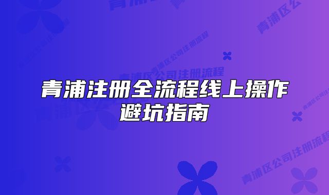 青浦注册全流程线上操作避坑指南