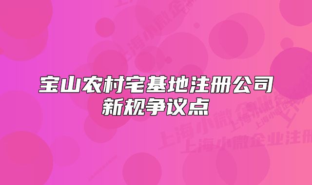 宝山农村宅基地注册公司新规争议点