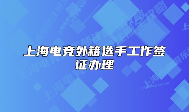 上海电竞外籍选手工作签证办理