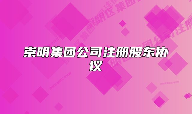 崇明集团公司注册股东协议