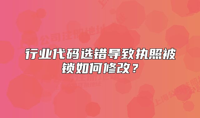 行业代码选错导致执照被锁如何修改?