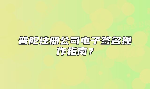 普陀注册公司电子签名操作指南?