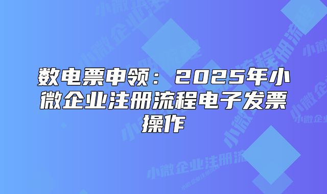 数电票申领:2025年小微企业注册流程电子发票操作