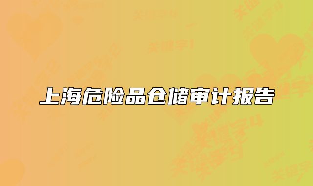 上海危险品仓储审计报告
