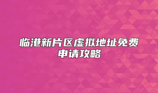 临港新片区虚拟地址免费申请攻略