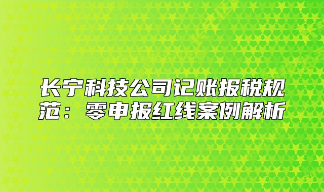 长宁科技公司记账报税规范：零申报红线案例解析