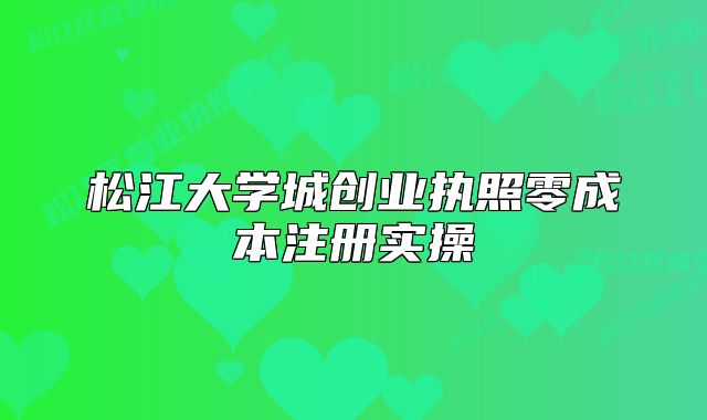 松江大学城创业执照零成本注册实操