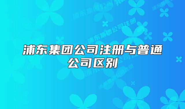 浦东集团公司注册与普通公司区别