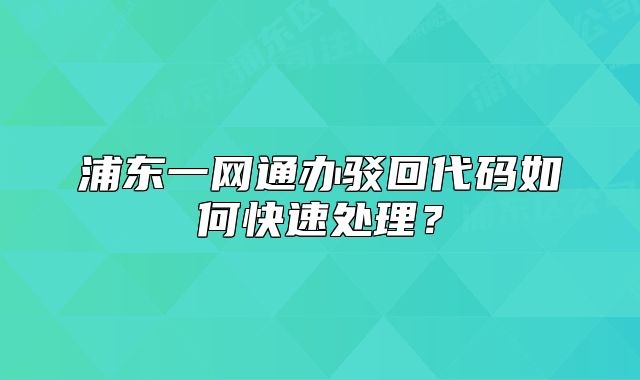 浦东一网通办驳回代码如何快速处理？