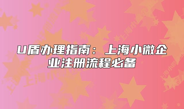 U盾办理指南：上海小微企业注册流程必备