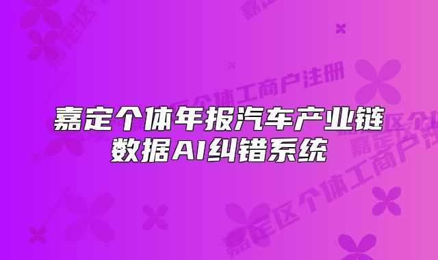 嘉定个体年报汽车产业链数据AI纠错系统