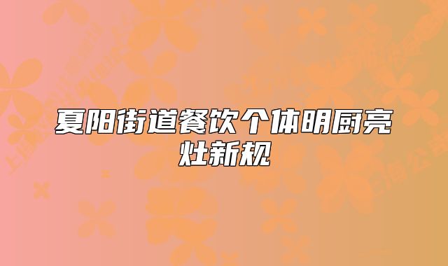 夏阳街道餐饮个体明厨亮灶新规