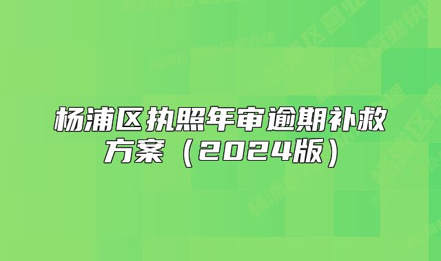 杨浦区执照年审逾期补救方案（2024版）