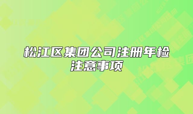松江区集团公司注册年检注意事项
