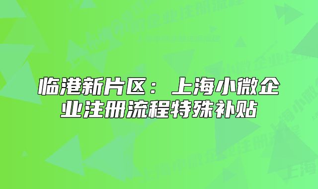 临港新片区：上海小微企业注册流程特殊补贴