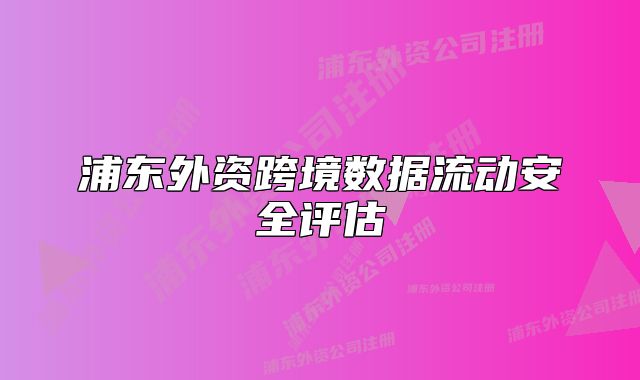 浦东外资跨境数据流动安全评估