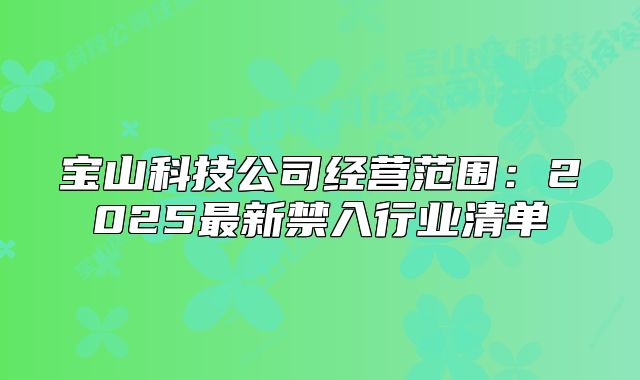 宝山科技公司经营范围:2025最新禁入行业清单