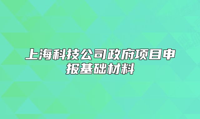 上海科技公司政府项目申报基础材料