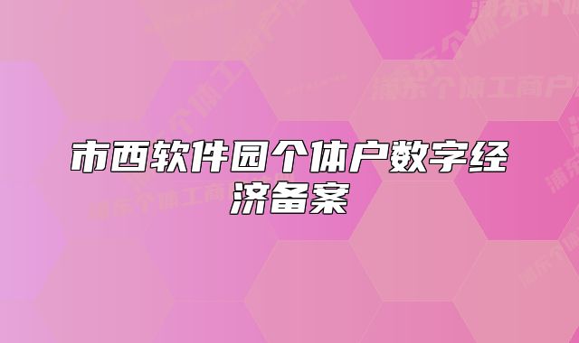 市西软件园个体户数字经济备案
