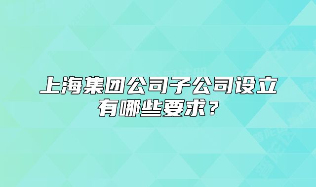 上海集团公司子公司设立有哪些要求?