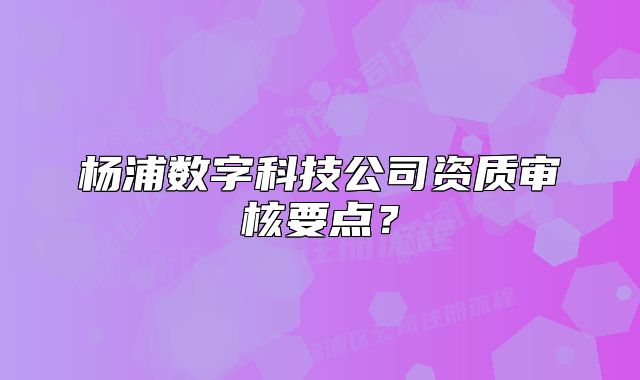 杨浦数字科技公司资质审核要点?