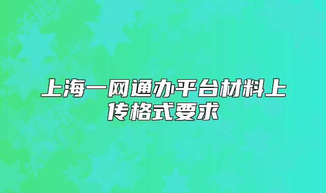 上海一网通办平台材料上传格式要求