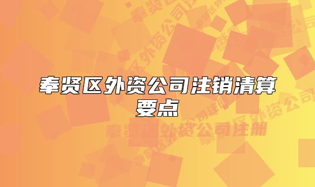 奉贤区外资公司注销清算要点