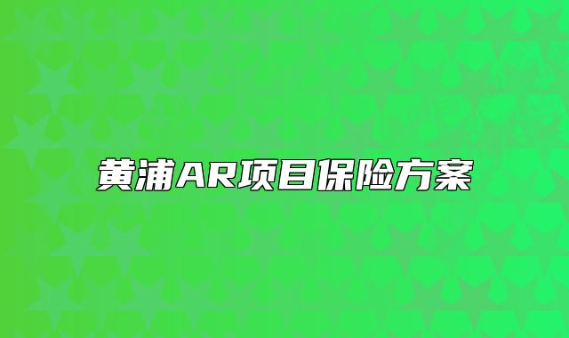 黄浦AR项目保险方案