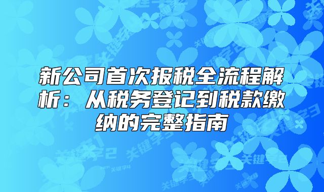 新公司首次报税全流程解析：从税务登记到税款缴纳的完整指南