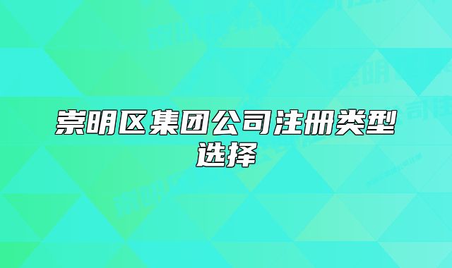崇明区集团公司注册类型选择