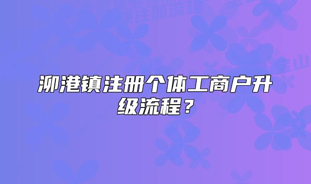 泖港镇注册个体工商户升级流程？