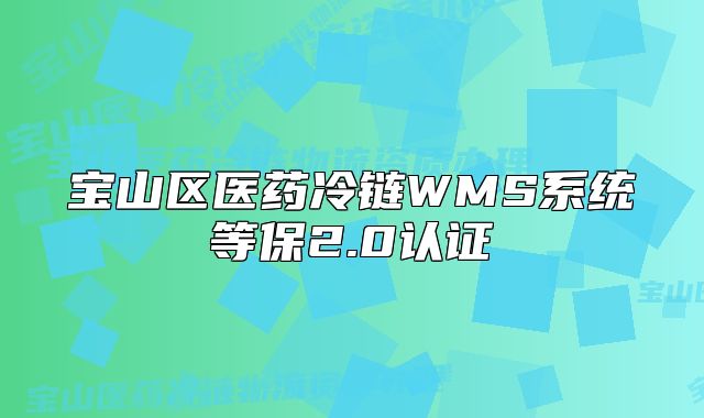 宝山区医药冷链WMS系统等保2.0认证