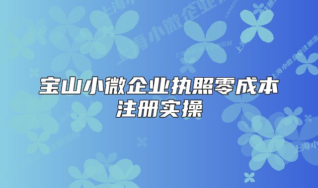 宝山小微企业执照零成本注册实操