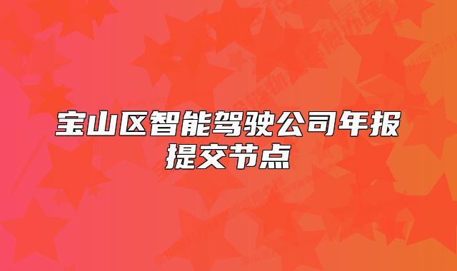 宝山区智能驾驶公司年报提交节点