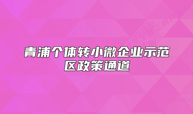 青浦个体转小微企业示范区政策通道